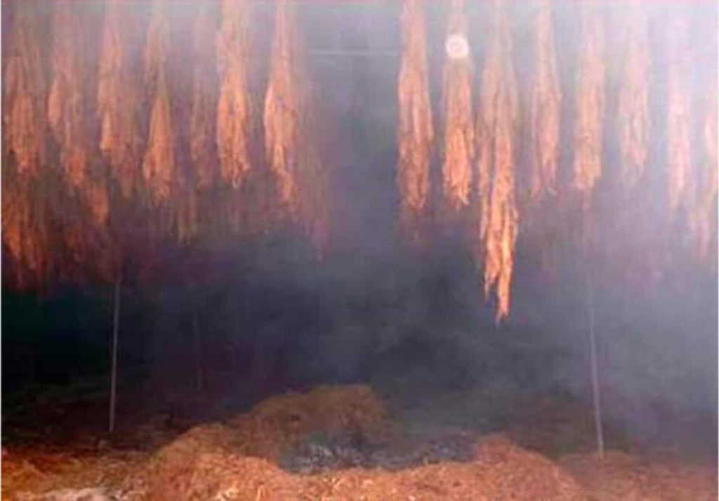 The smoky aroma of fire-cured Latakia tobacco